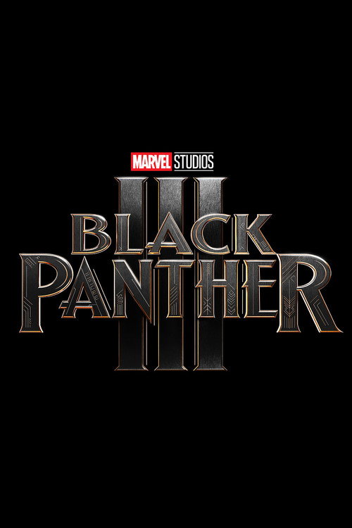 Affiche Black Panther 3