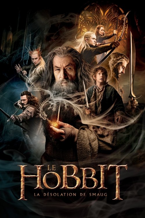 affiche Le Hobbit : La Désolation de Smaug