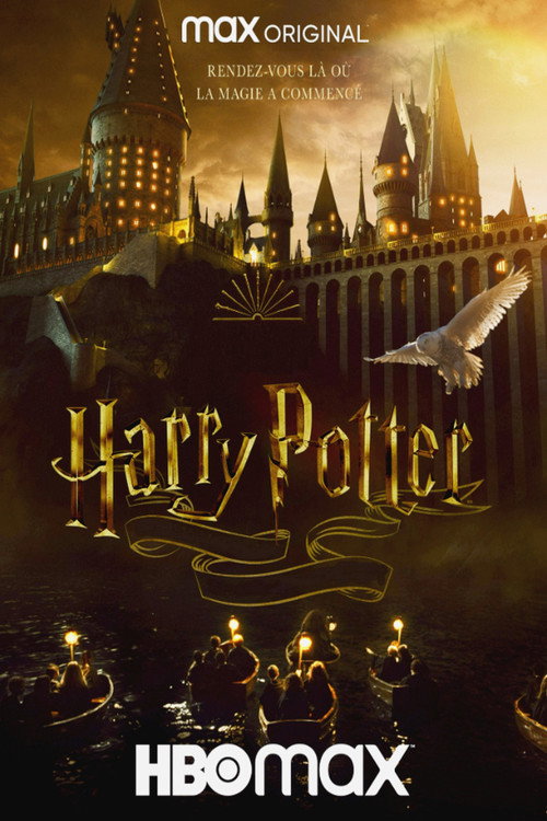 affiche Harry Potter