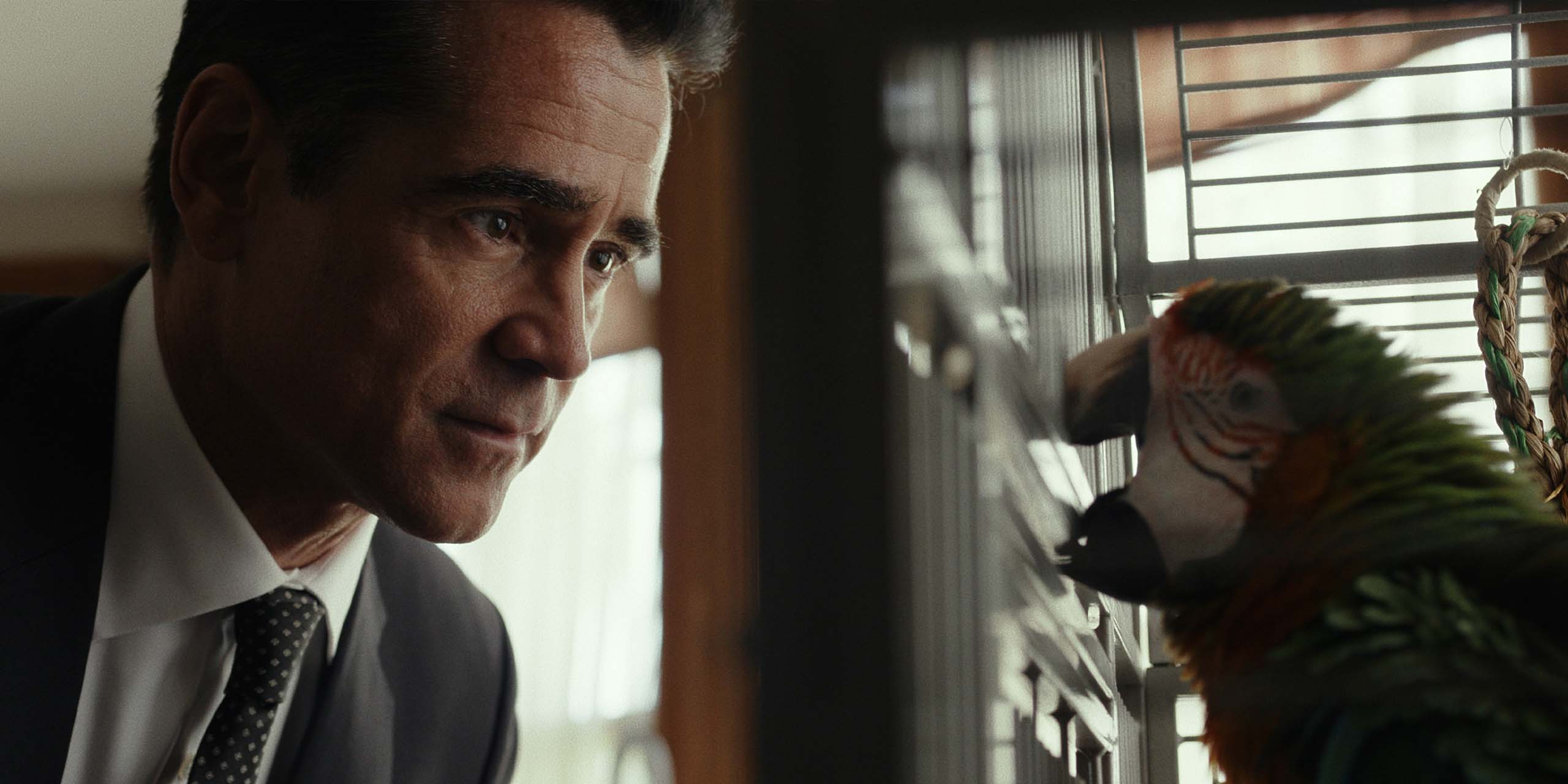 John Sugar (Colin Farrell) interroge un perroquet dans la saison 2 de Sugar.