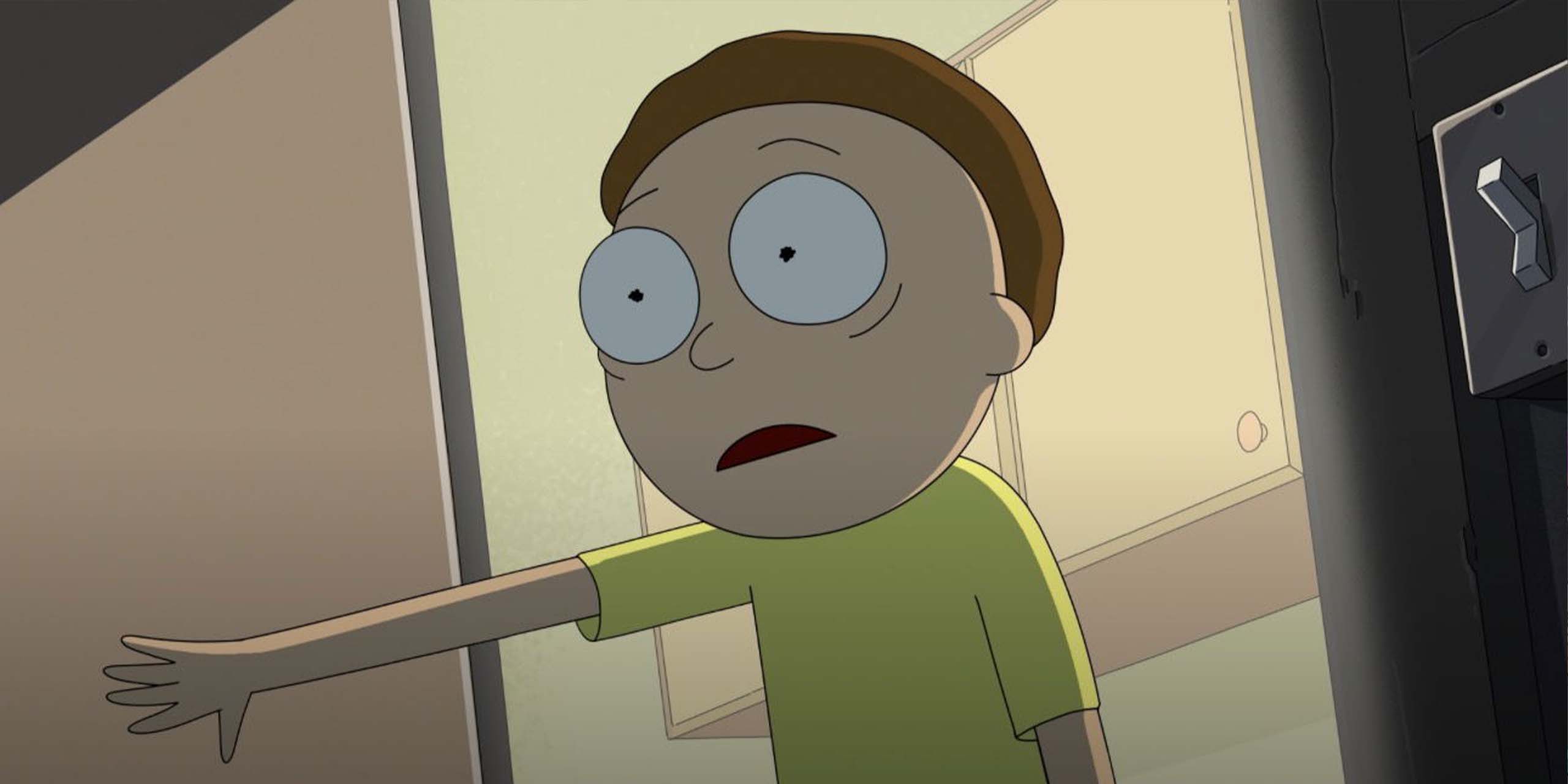 Morty stupéfié par ce qu'il découvre, dans le final de la saison 9 de Rick et Morty.