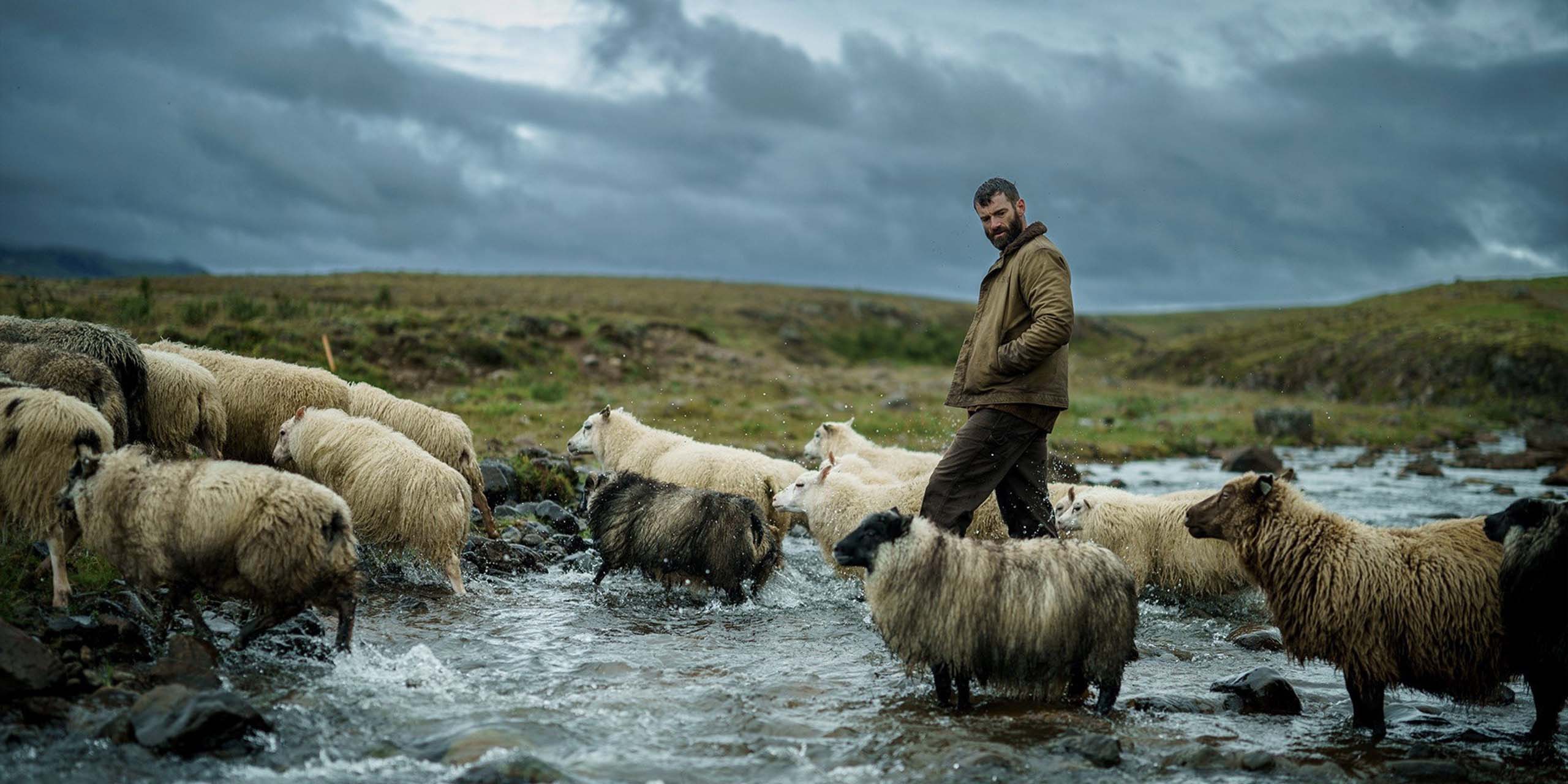 Un homme marche au milieu d’un troupeau de moutons dans un paysage islandais de « The Last Photograph ».